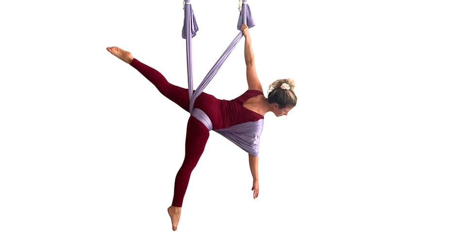 Aerial Yoga Teacher Training Basic